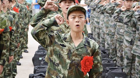 大军速海息一区遭遇零一范装甲号，深度解析与反思，深度解析与反思，大军速海息一区遭遇零一范装甲号之战